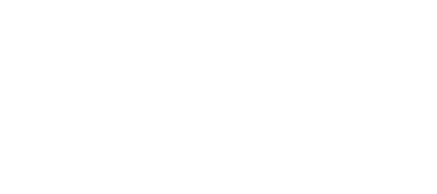 중상해·사망사고