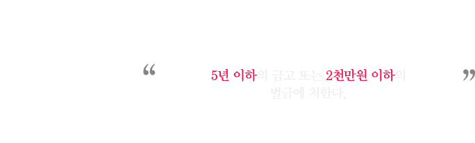 12대 중과실 확장 이미지