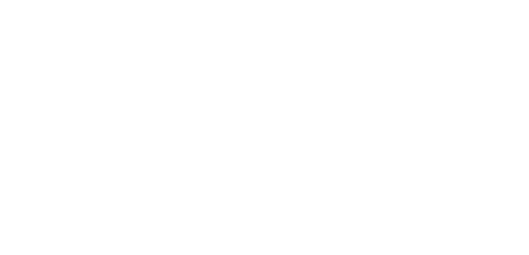 폰 섹션 타이틀